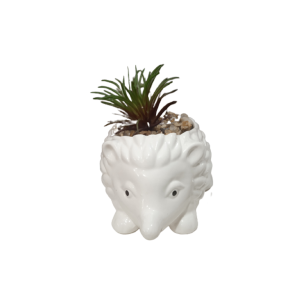 Vasinho Porcelana Porco Espinho Com Planta