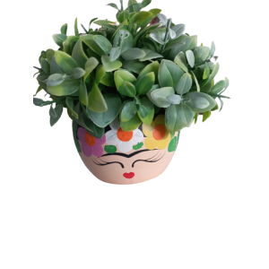 Vasinho Face Com Folhagem