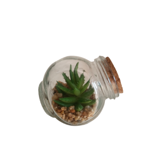 Mini Suculenta Artifícial-  Potinho De Vidro