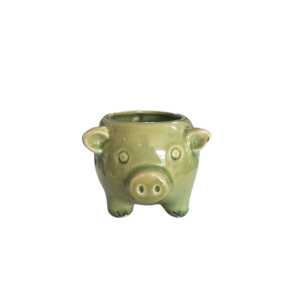 Cachepot de Porquinho Verniz Verde