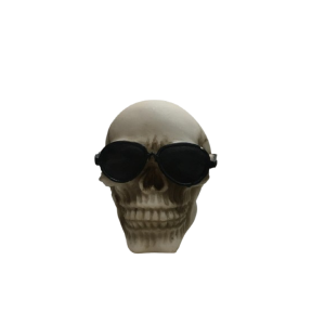 Mini Crânio Caveira Com Óculos