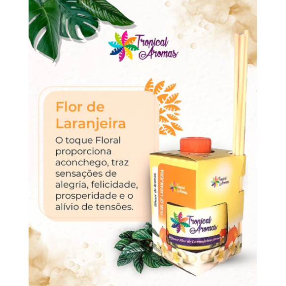 https://www.belezativapresentes.com.br/image/cache/data/eftr/Img_ftr_rp_361401-580x580.PNG