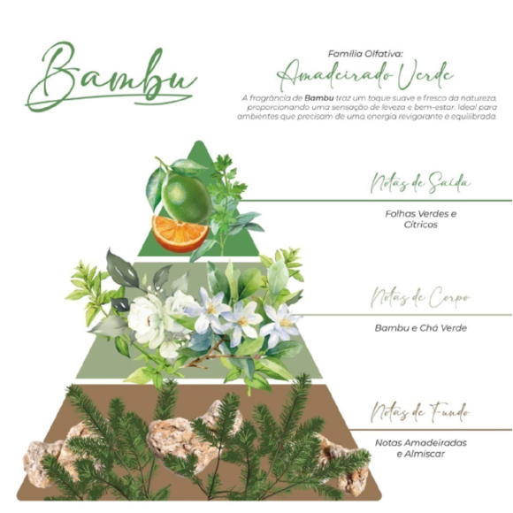 https://www.belezativapresentes.com.br/image/cache/data/eftr/Img_ftr_rp_361801-580x580.PNG