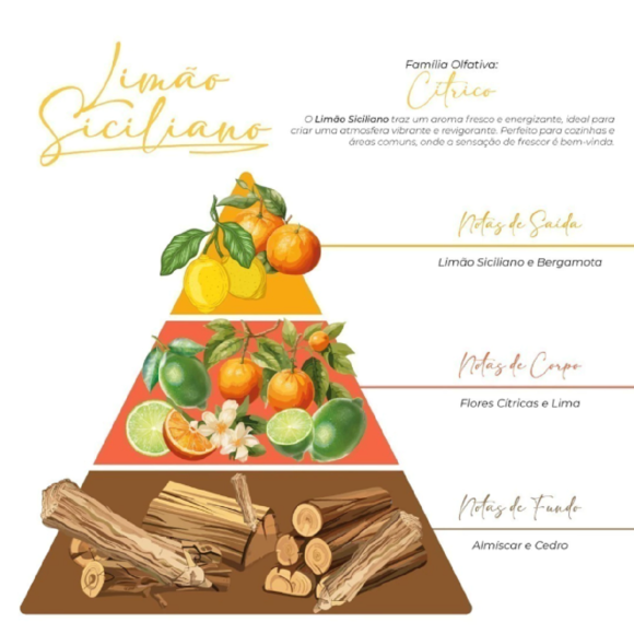https://www.belezativapresentes.com.br/image/cache/data/eftr/Img_ftr_rp_363101-580x580.PNG