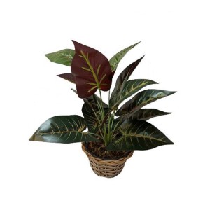 Arranjo Folhagem Verde