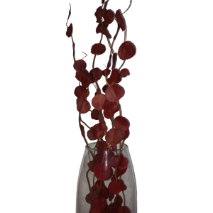 Vaso Grande Com Arranjo De Folhas Vermelhas